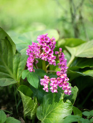 Similar image 21356574