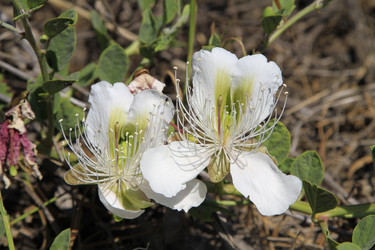 Similar image 21351555