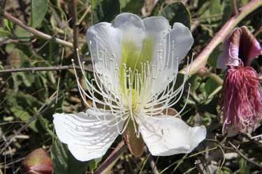 Similar image 21351556