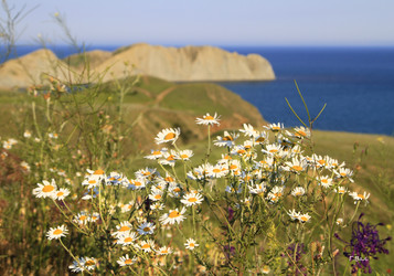 Similar image 21351557