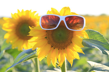 Similar image 21351560