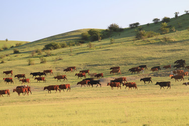 Similar image 21351561