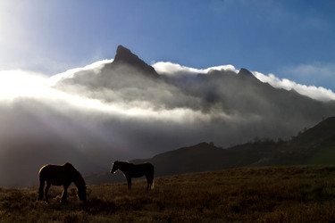 Similar image 21351568