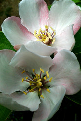 Similar image 21351887