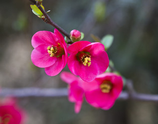 Similar image 21351888