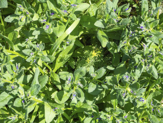 Similar image 21351274