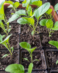 Similar image 21351275