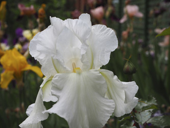 Similar image 21351276