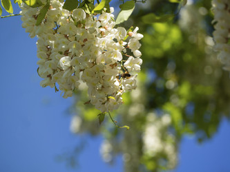 Similar image 21351277