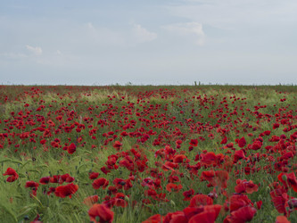 Similar image 21351278