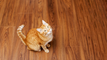 Similar image 21369759