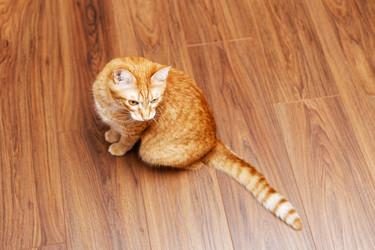 Similar image 21369763