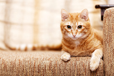 Similar image 21369765