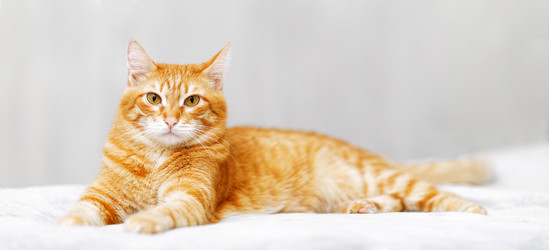 Similar image 21369767