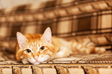 Similar image 21369769