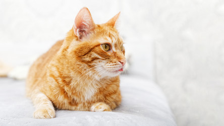 Similar image 21369770