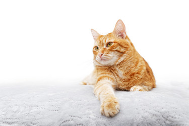 Similar image 21369772