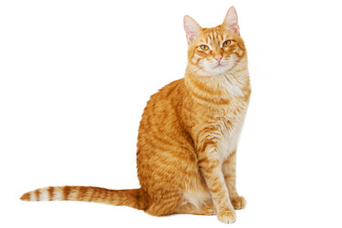 Similar image 21369773