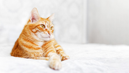 Similar image 21369775