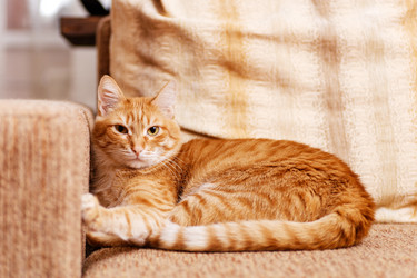 Similar image 21369777