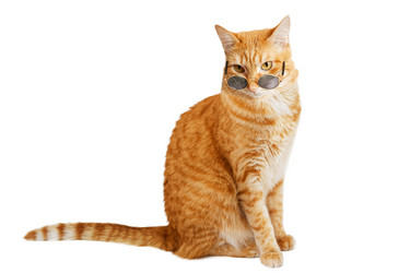 Similar image 21369781