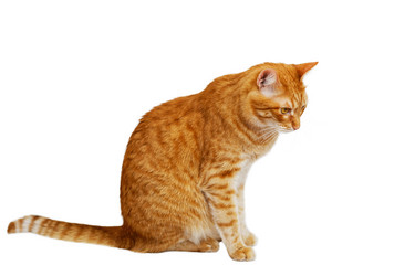 Similar image 21369783