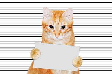 Similar image 21369786