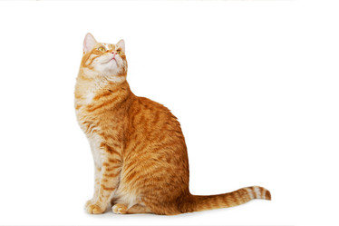 Similar image 21369788