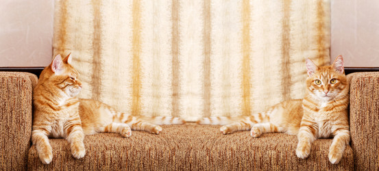 Similar image 21369794