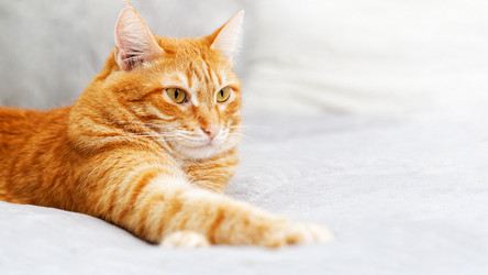 Similar image 21369797