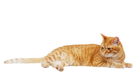 Similar image 21369798