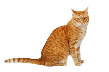 Similar image 21369800