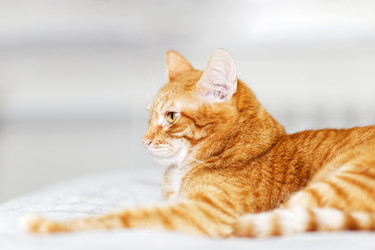 Similar image 21369801