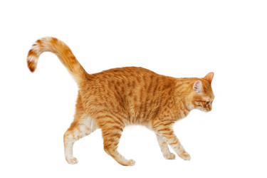 Similar image 21369802