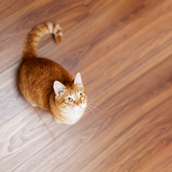 Similar image 21369805