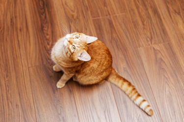 Similar image 21369806