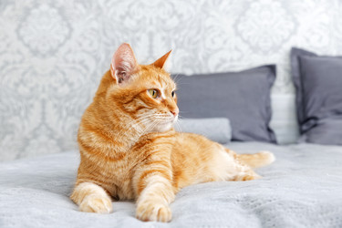 Similar image 21369808