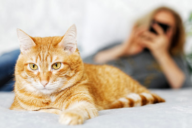 Similar image 21369809