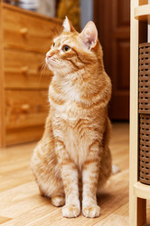 Similar image 21369810