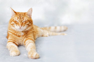 Similar image 21369811