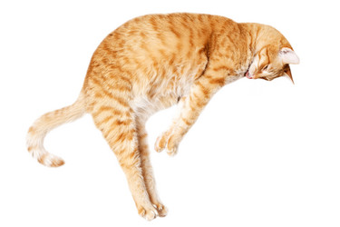 Similar image 21369818