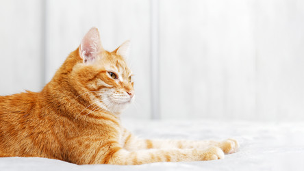 Similar image 21369823