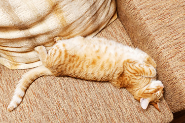 Similar image 21369824