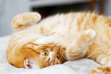 Similar image 21369827