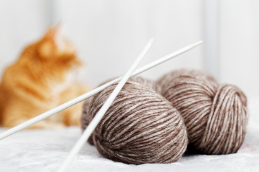 Similar image 21369831