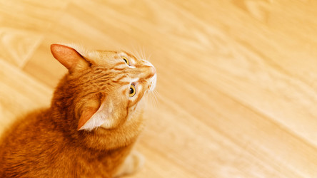 Similar image 21369839