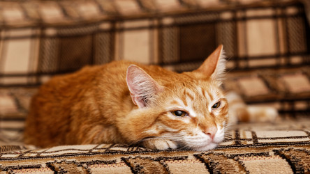 Similar image 21369841