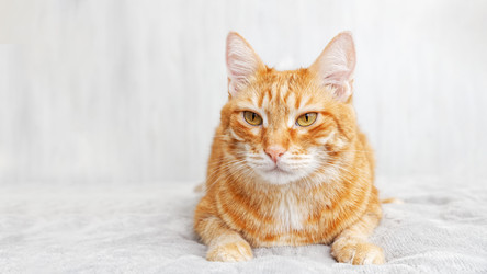 Similar image 21369842