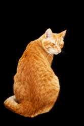 Similar image 21369844