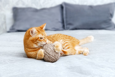 Similar image 21370151